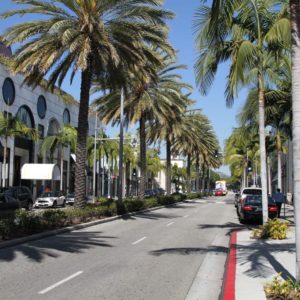 Guia turístico brasileiro em Los Angeles