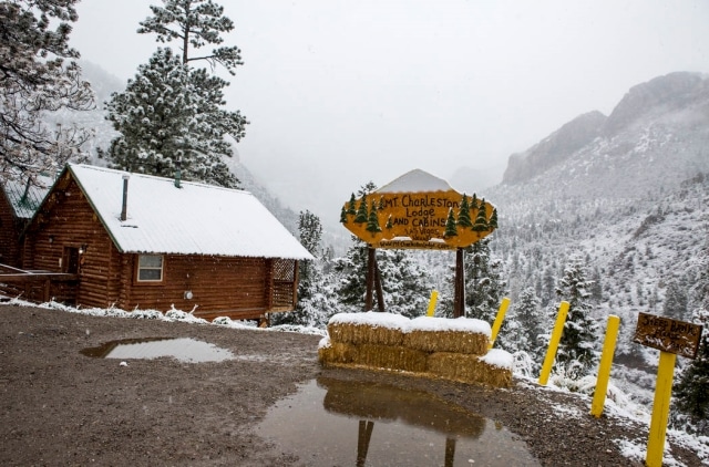 mount charleston