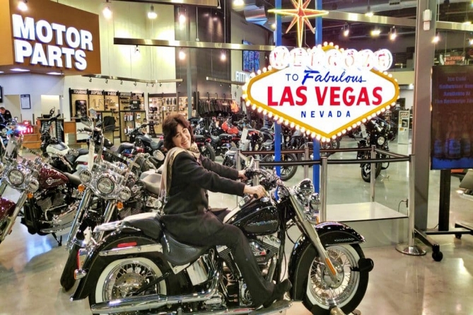 las vegas tour vip